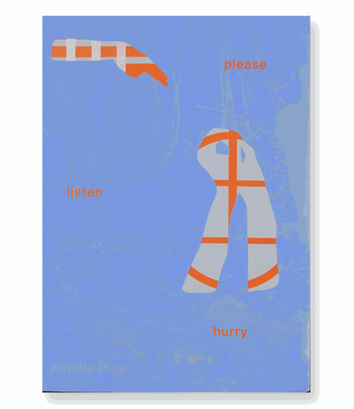 Cover of Pica's book