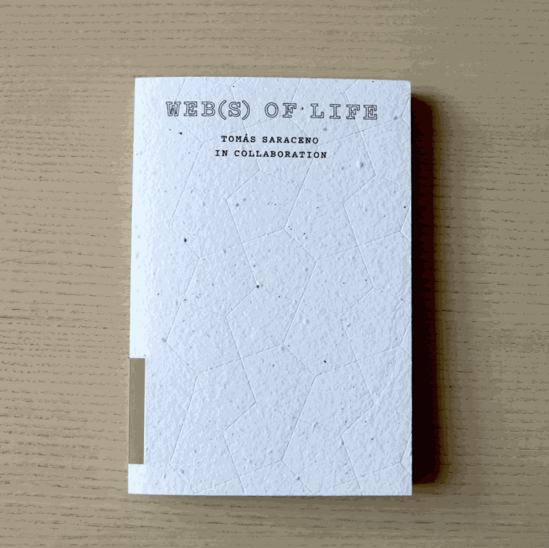 saraceno book cover image