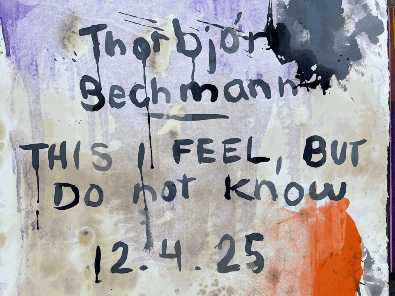 Thorbjörn Bechmann`s first solo exhibition in Austria