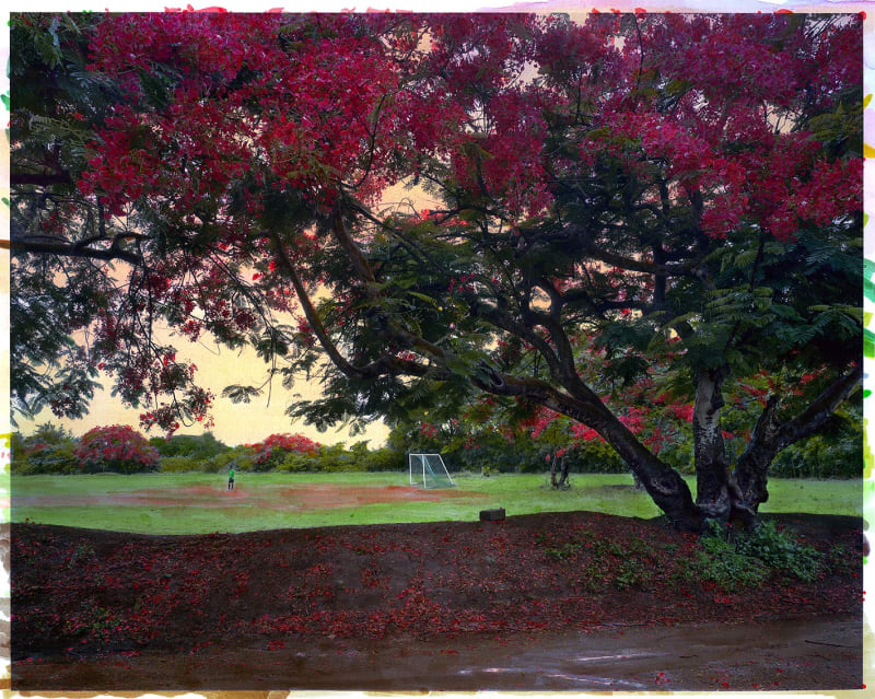 Après la pluie, Atelier TCHIKEBE, Marseille