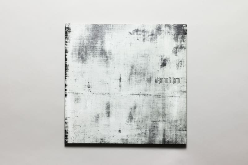 Alejandro Guijaro: Lead