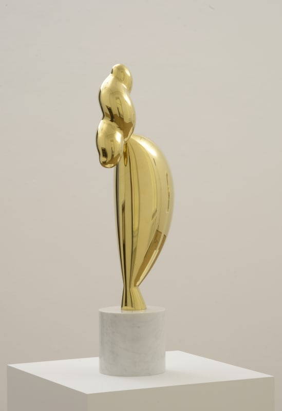 Constantin Brancusi - Toward the absolute