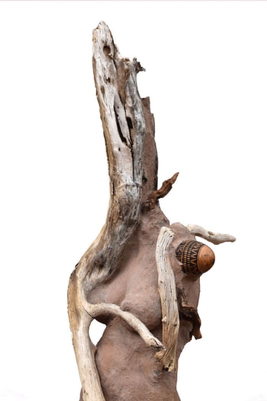 The Financial Times reviews the Whitney Biennial, featuring Wangechi Mutu