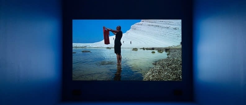 Isaac Julien: The Leopard at Block Museum of Art