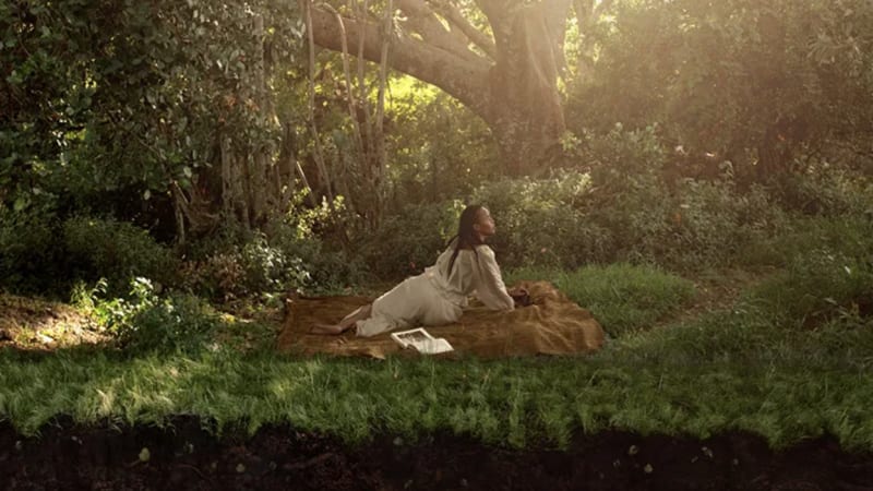 Wangechi Mutu: My Cave Call at Saint Louis Art Museum