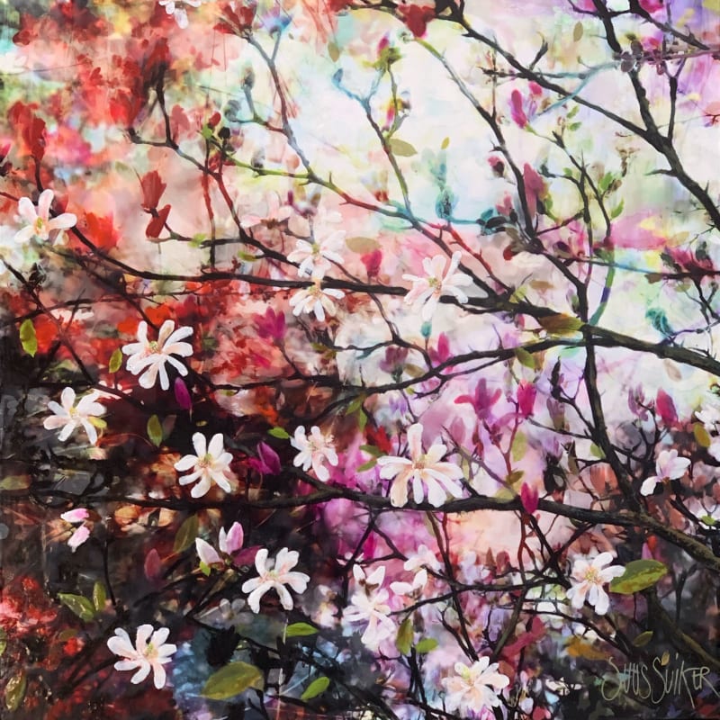 Spring-Summer Collection 2025, Haarlem