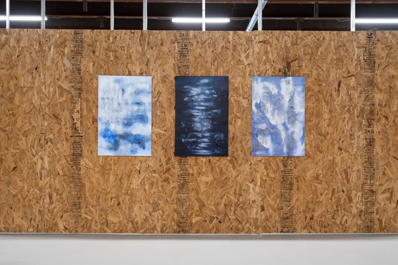 Falling Petals in Glittering Snow, Shahrzad Jahan