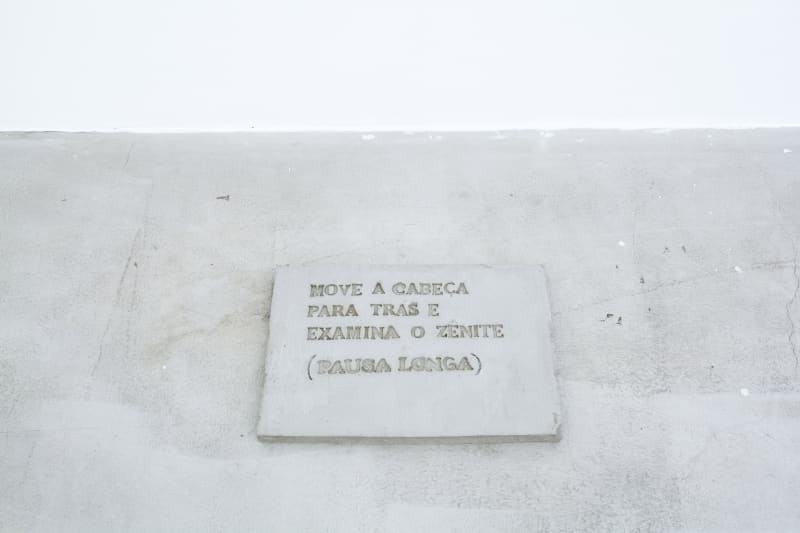 Zip'Up: Ela caminha em direção à fronteira, Ana Mazzei