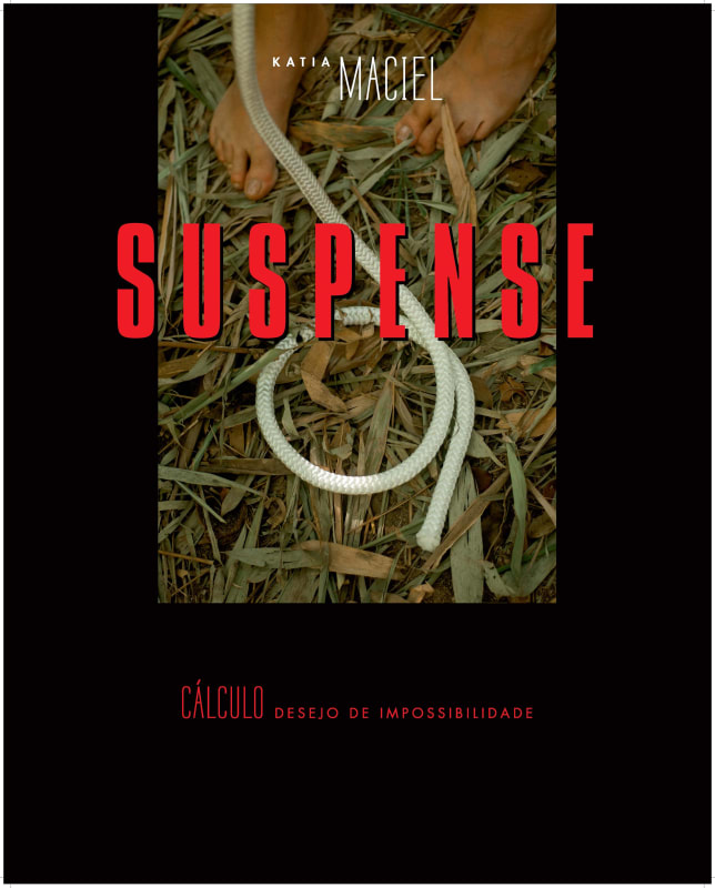 Katia Maciel Cálculo, 2013 cartaz 125 x 100 cm edição: 100