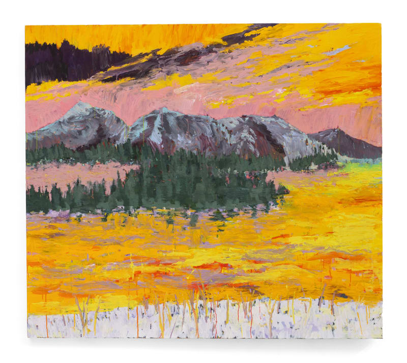 Felipe Góes Pintura 357 , 2019 Acrílica sobre tela 150 x 170 cm