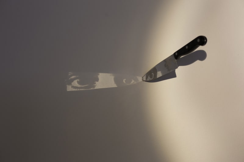 Graciela Sacco Retrato, 2010 fonte de luz e impressão digital na faca dimensões variáveis Série: Tensión admisible