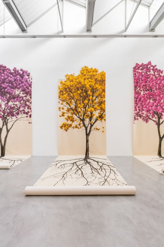 HOTSPOTS, Memória, imaginação e resistência - Fábio Baroli