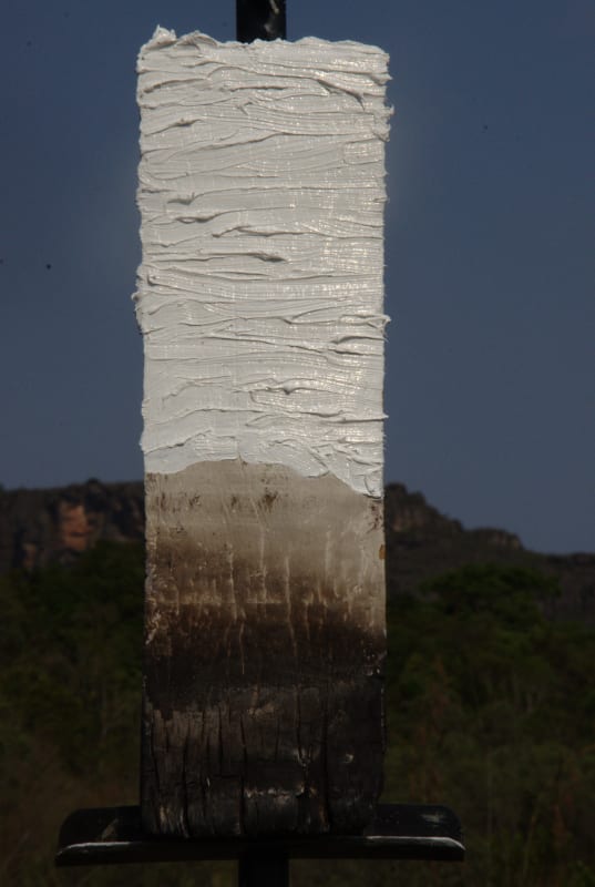 Corpos múltiplos na construção da paisagem, Evandro Angerami