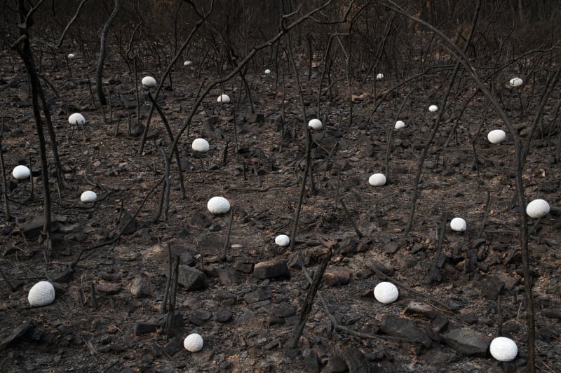 Ponto Zero, Rodrigo Braga