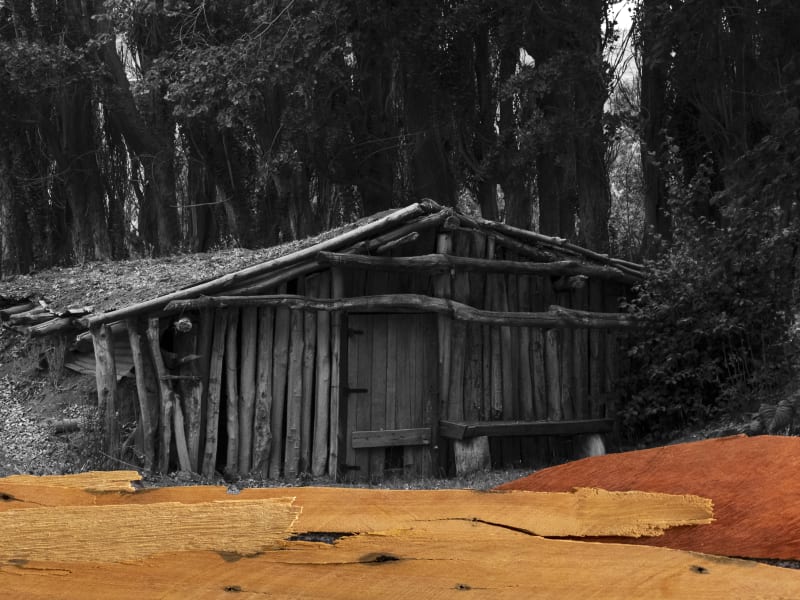 SARRAFO, Vitor Mazon