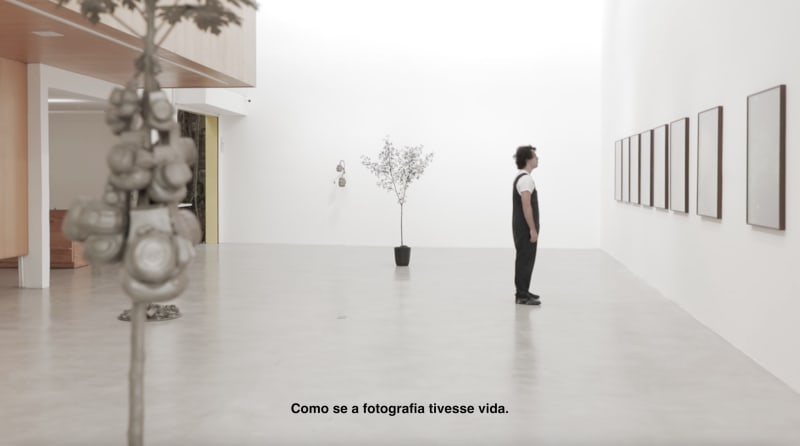 André Feliciano - Ecologia Fotográfica, Exposição realizada na Zipper Galeria de 15 de agosto a 12 de setembro de 2020