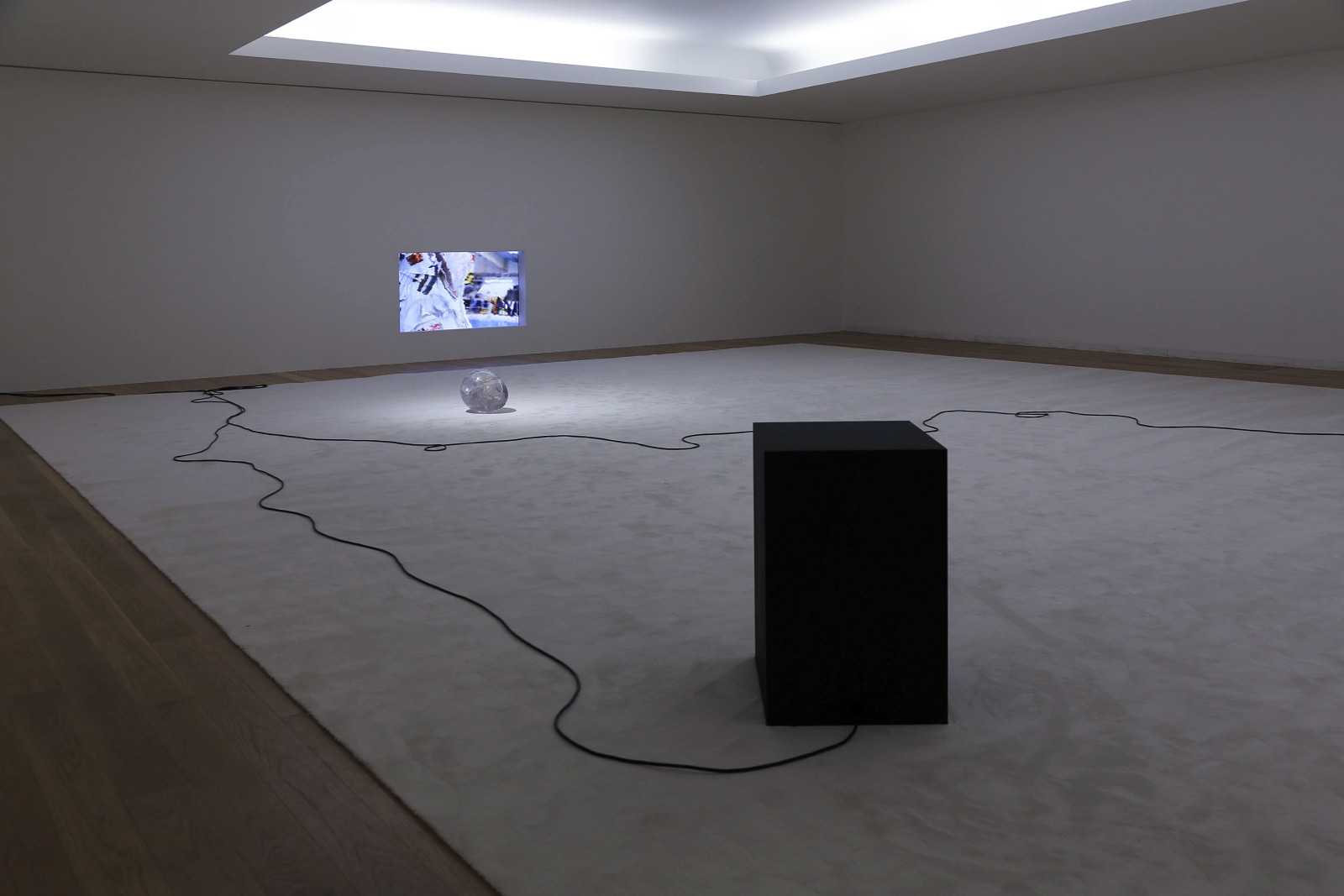 Rachel Rose Contemporary Projects: Rachel Rose