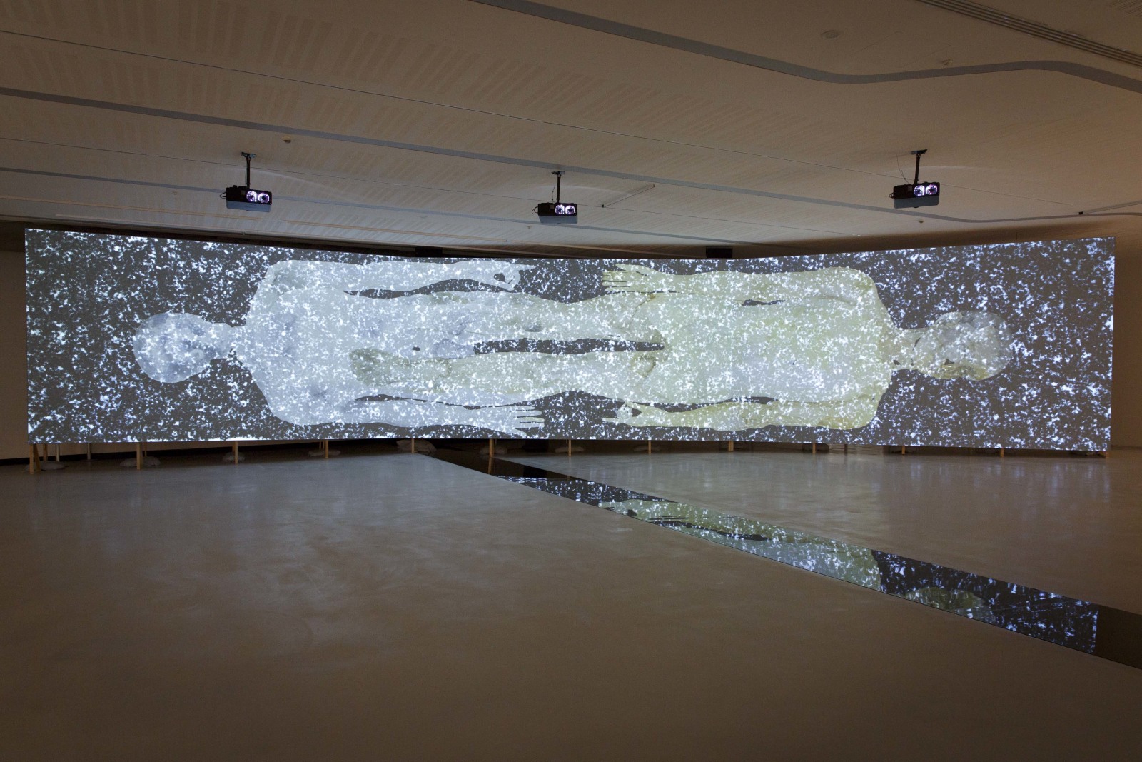 Shahzia Sikander: Ecstasy As Sublime, Heart As Vector