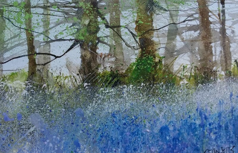 Shropshire Bluebells