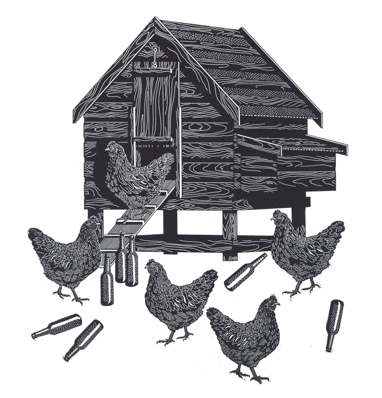 Mr. Jones, of the Manor Farm
