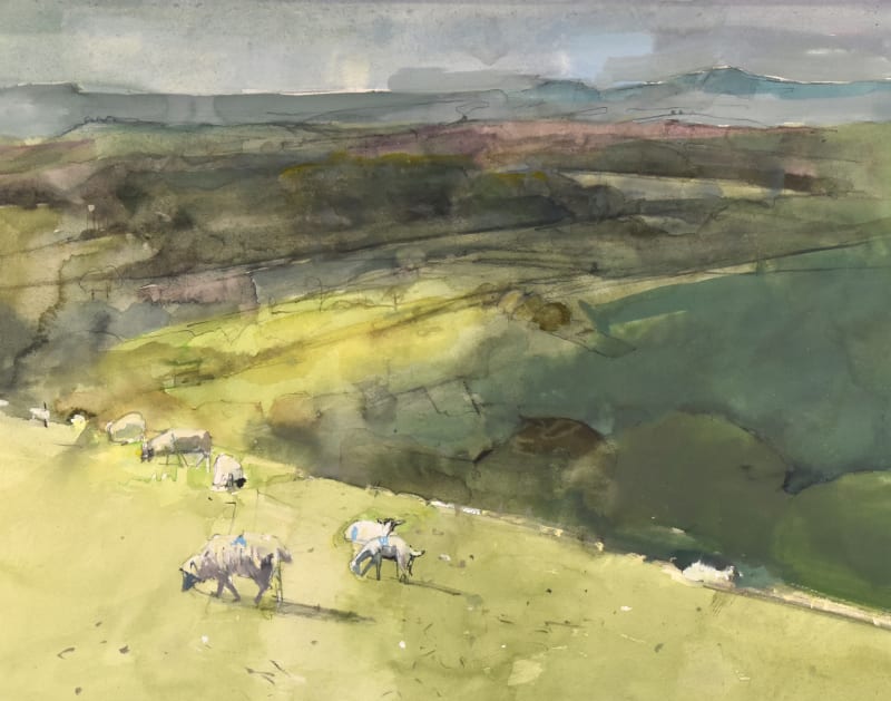 Sheep & Cloud Shadows, Eggardon