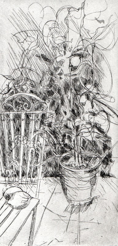 Lemon Tree