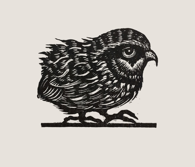 Partridge