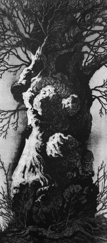 Petworth Chestnut