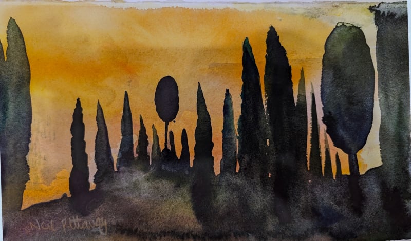 Trees on a Tuscan Hilltop