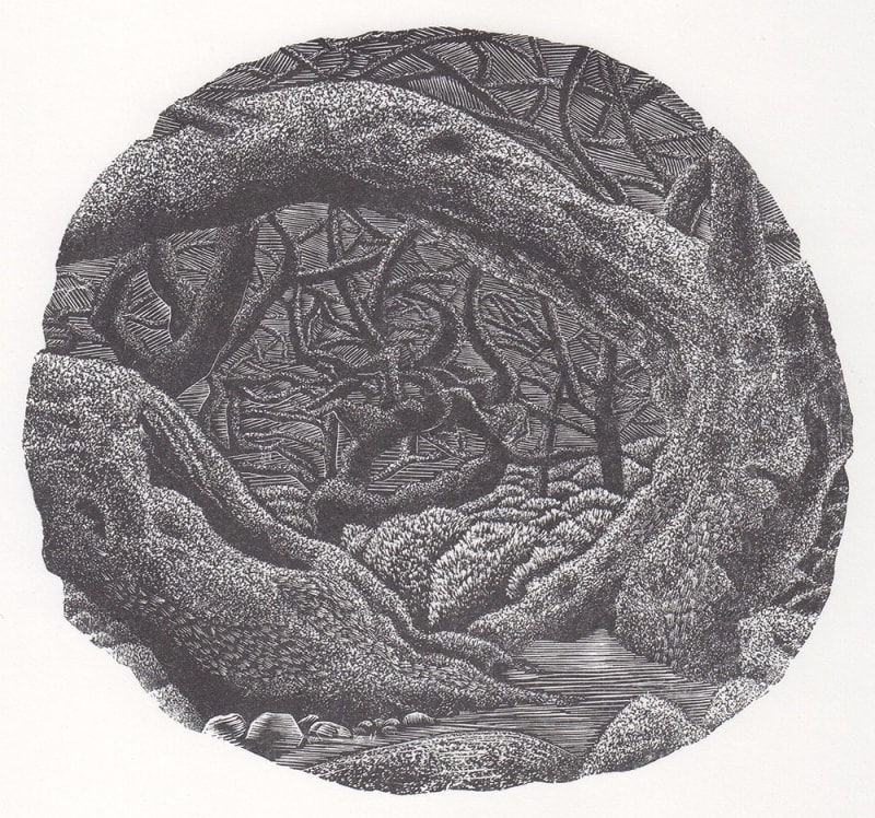 Wistman's Wood
