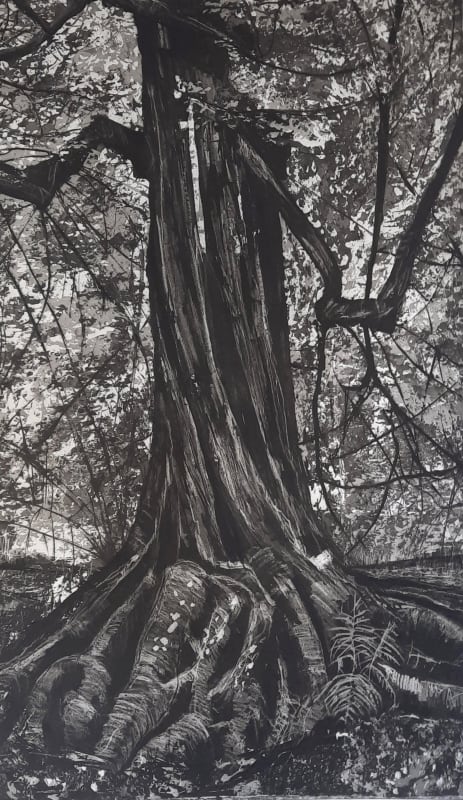 Clifford Woods II