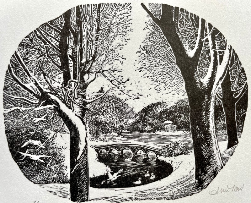 Across the Lake