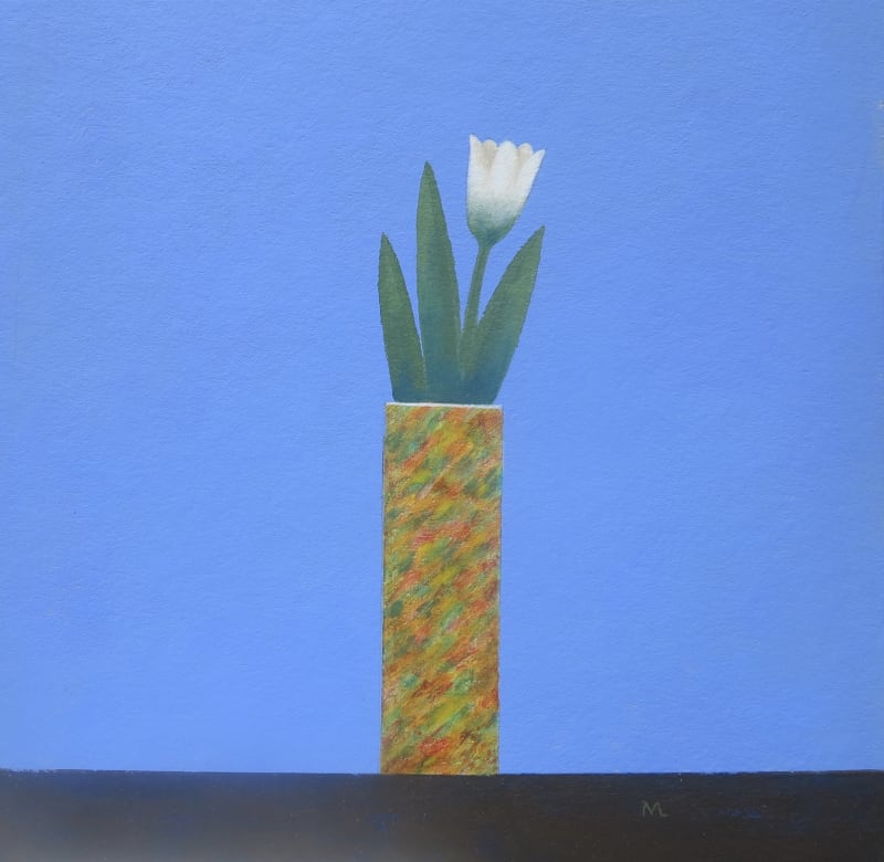 White Tulip