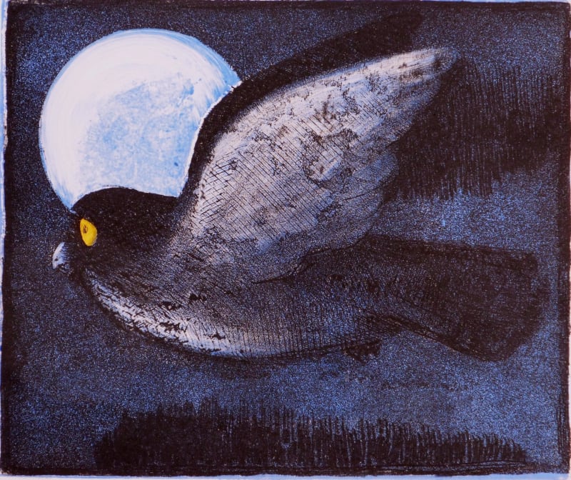 Night Bird