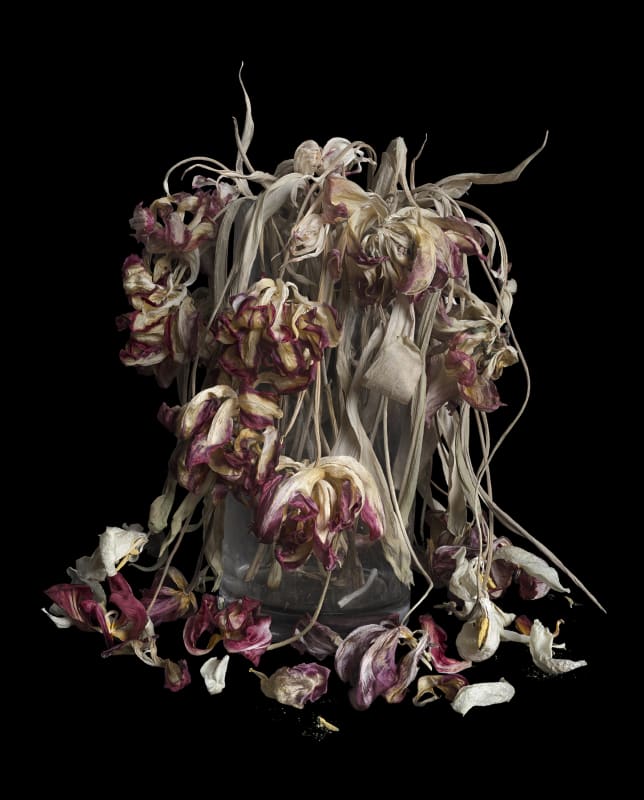 Vanitas XXVIII
