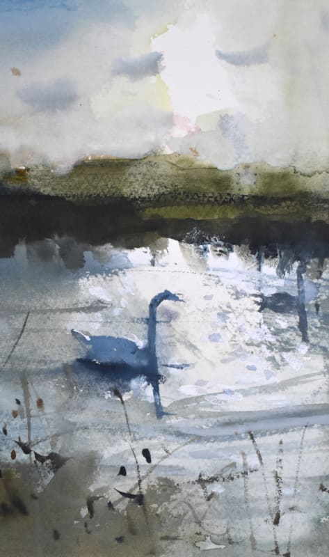 Stour Swans, Winter