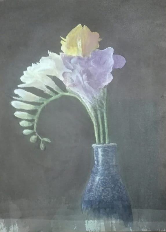 Iridaceae
