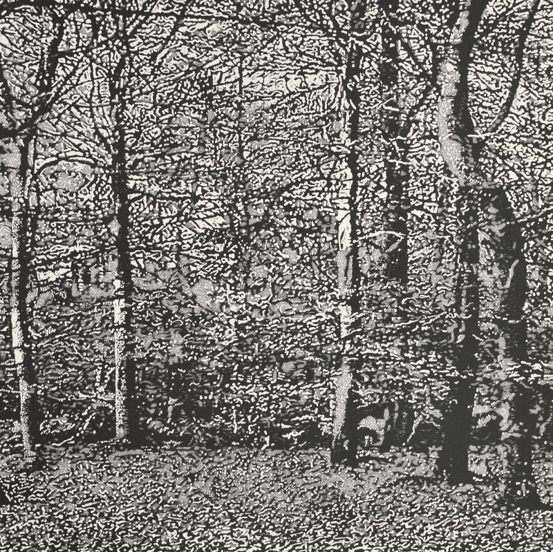 Woodland III