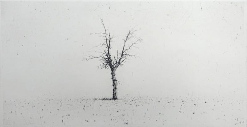 Solitude