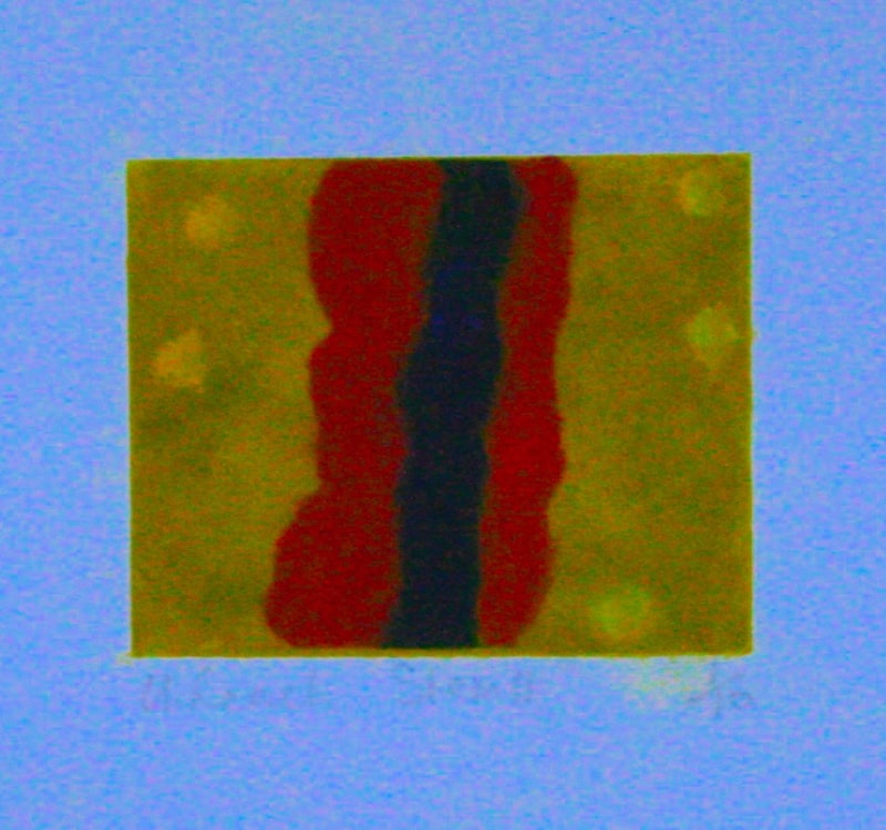 Stem II