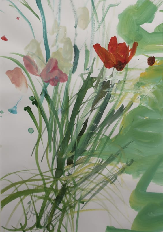 Poppies