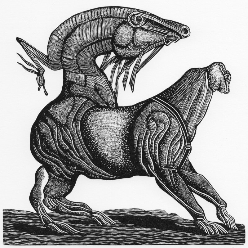 Text Prompt: A General History of Quadrupeds II