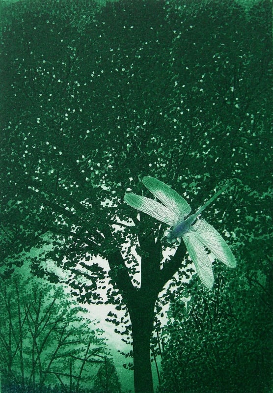 Dragon Fly