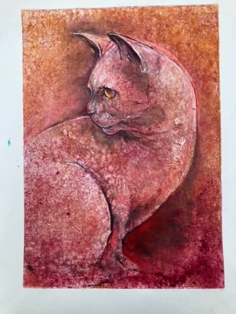 Red Cat