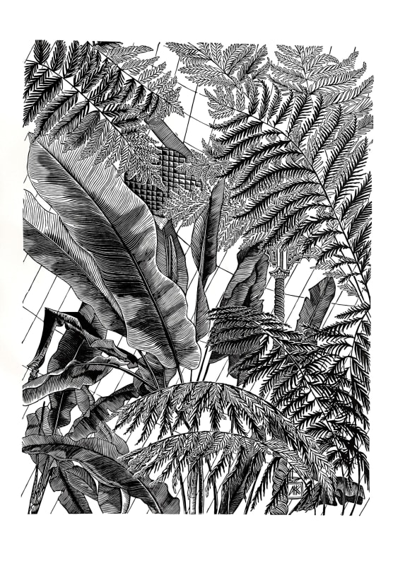 Bananas and Ferns