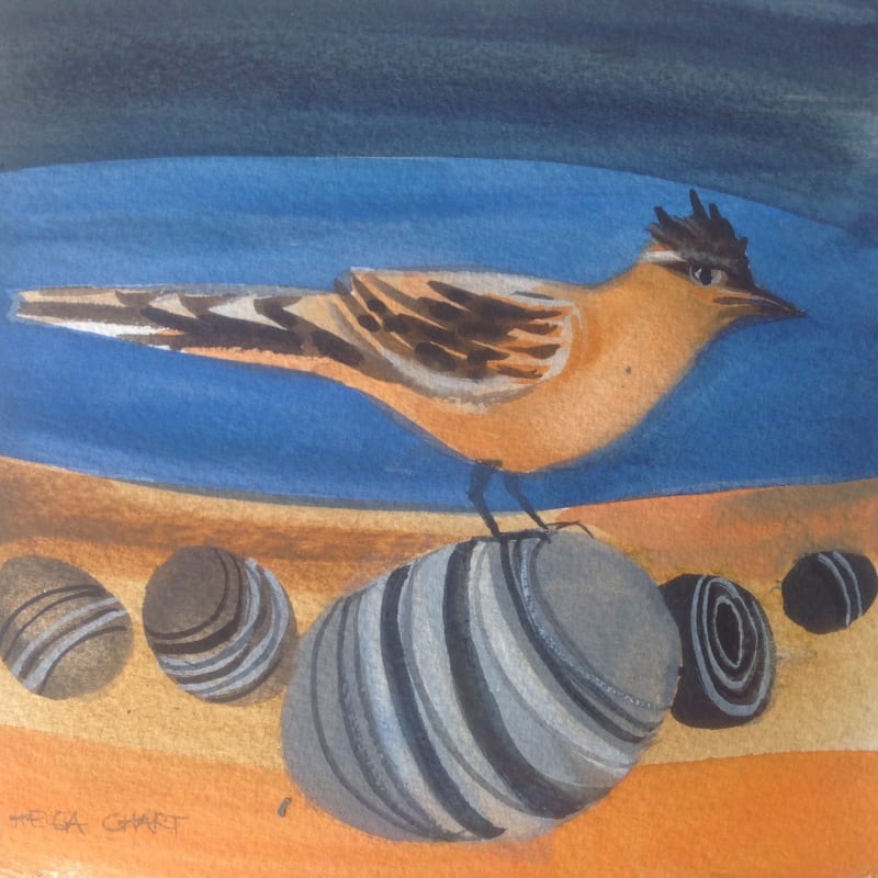 Turnstone