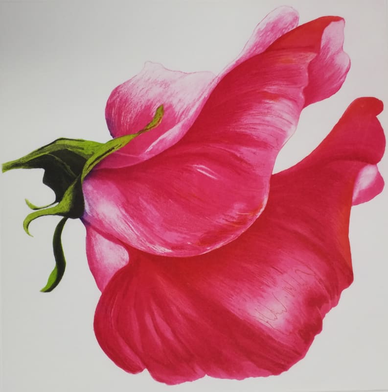 Petal billow