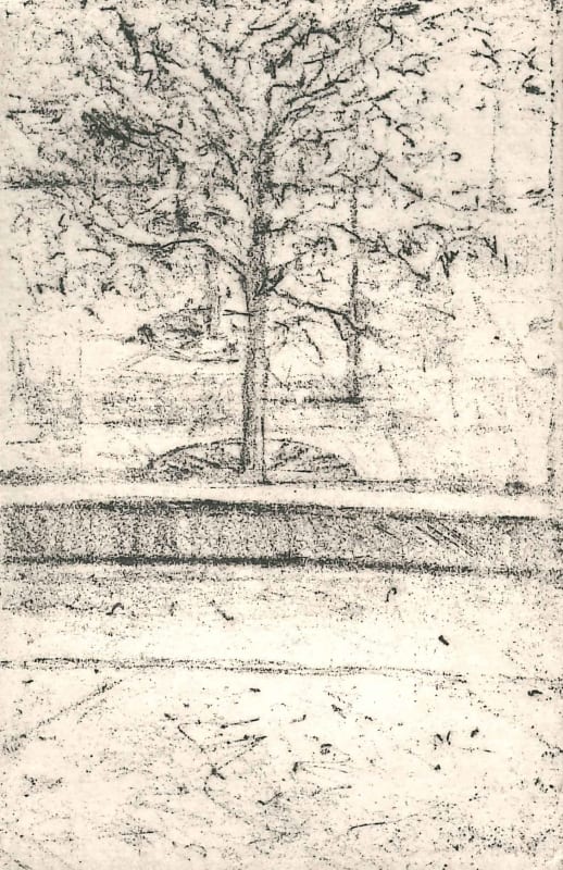 Courtyard View