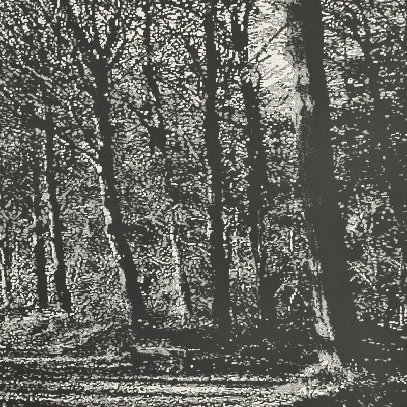 Woodland IX
