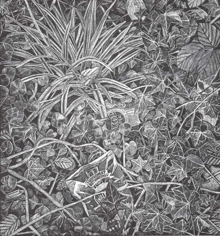 Undergrowth